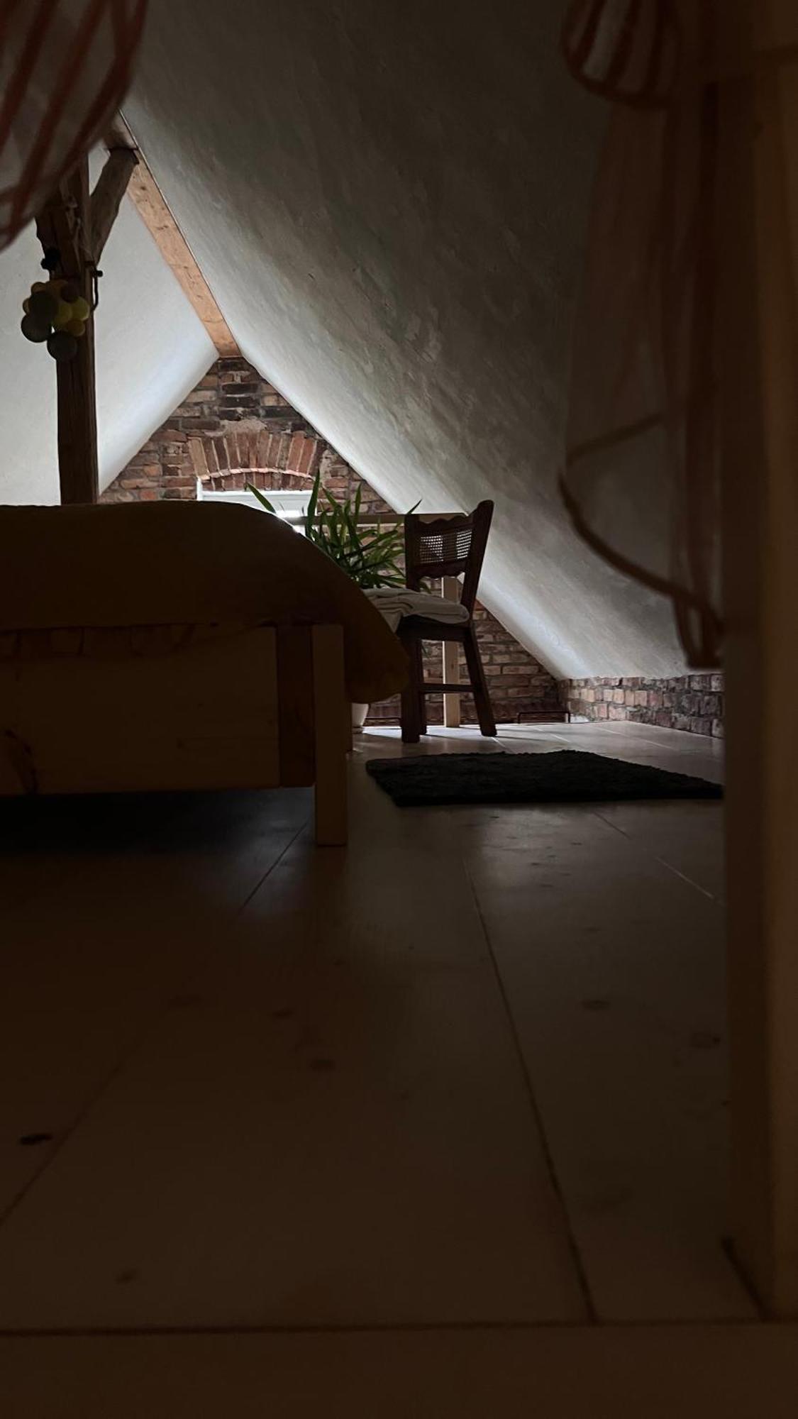 Apartamenty 3 Pory Roku Komarno Eksteriør billede